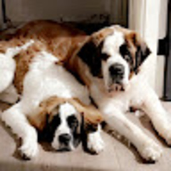 Meet your Posher, Leah - Picture 1 of 1